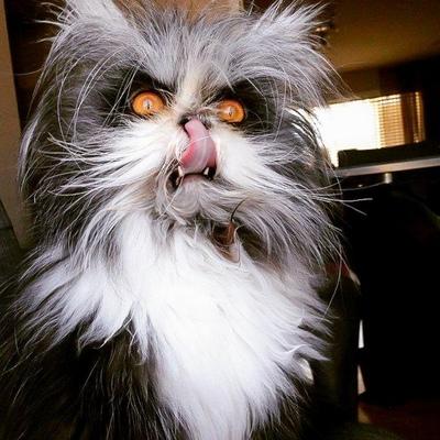Евгений Антипов
