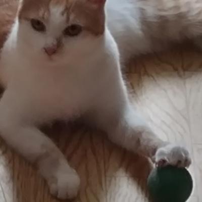 Василий Васильевич