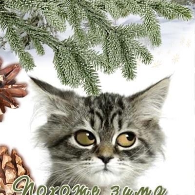 Игорь Сиваков