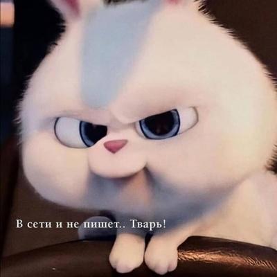 Никита Отсутствует